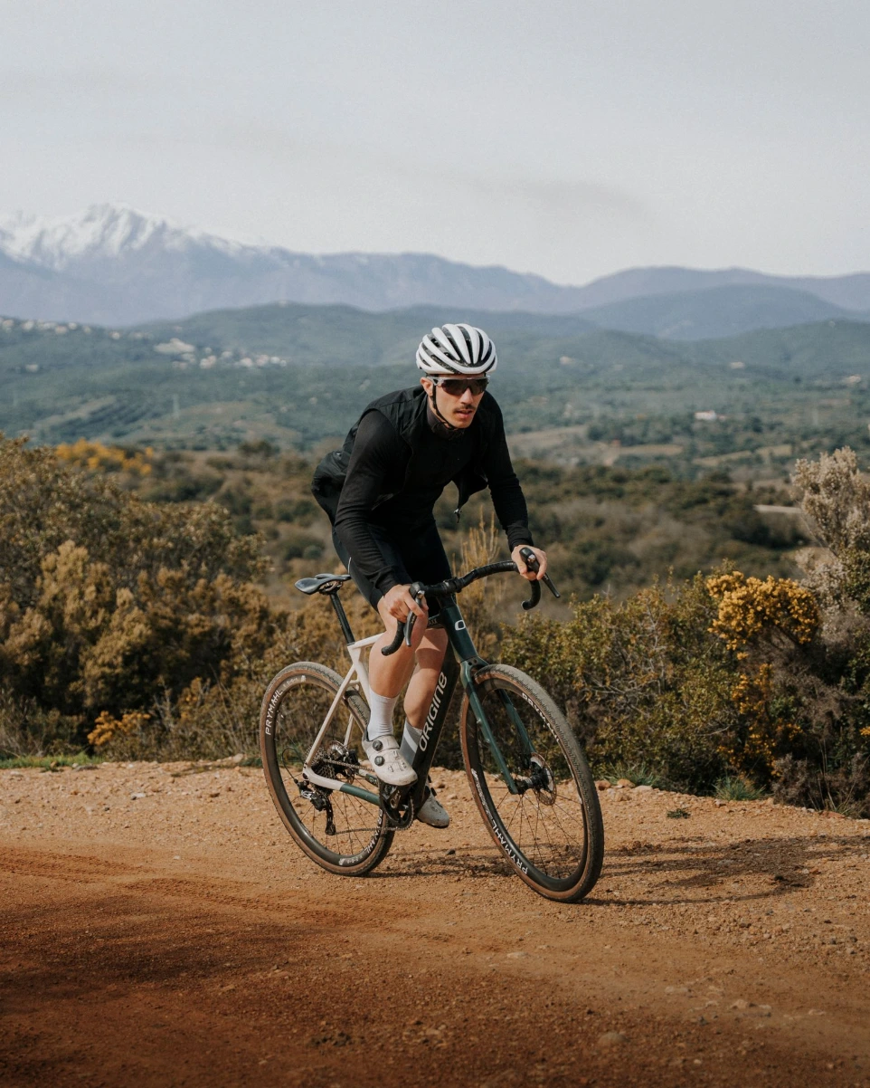 Vélo origine cycles csiegfried 