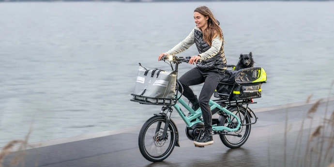 une femme transportant un chien dans un tern hsd