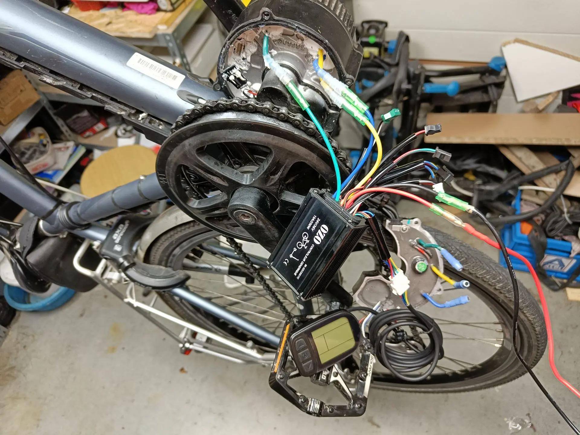 Diagnostic BBS1 via kit Ozo