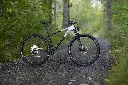 d56i3334-edit_jpg.webp