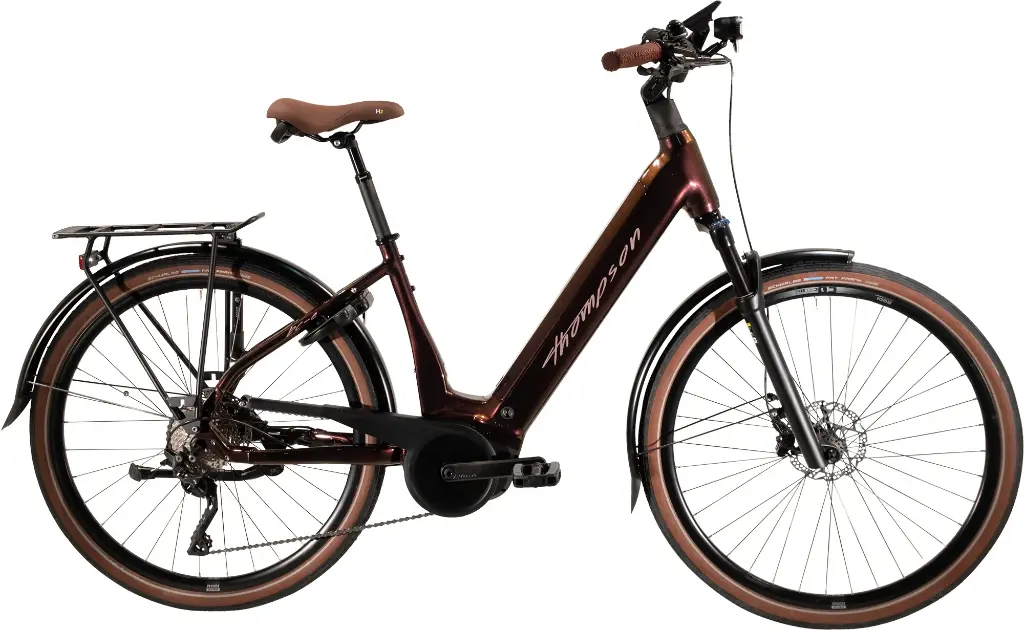 2025-BCE-DAME-SHINY-CHAMELEON-COPPER-ROSE-GESCHREVEN (1).webp