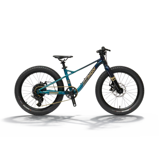BEMOOV T20 VTT enfant 20 pouces